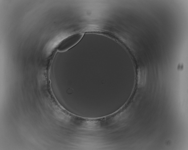 X0000111441453200907131254