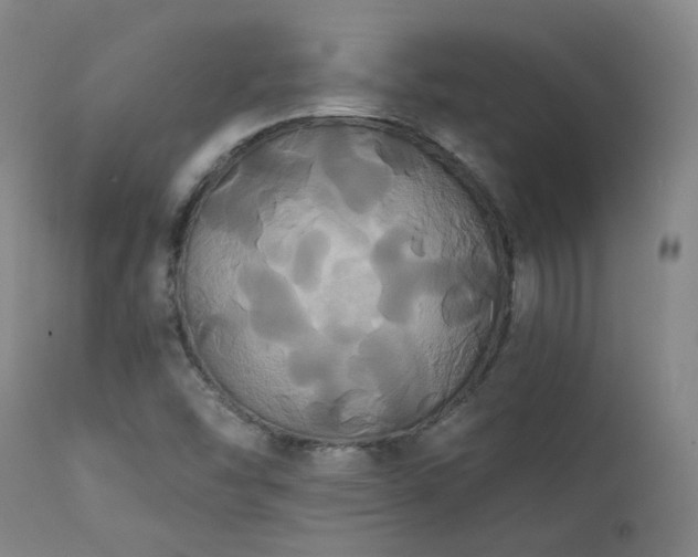 X0000111441454200907131254