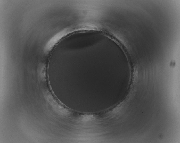 X0000111441455200907131254