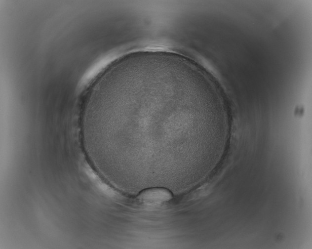 X0000111441456200907131254