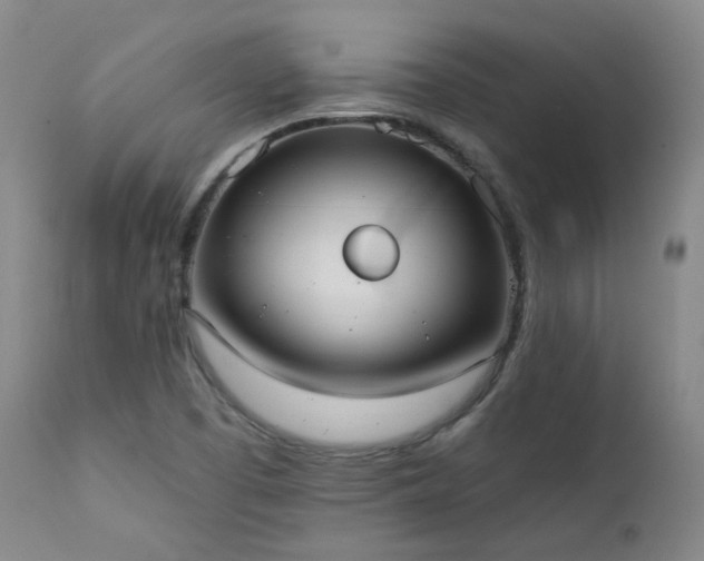X0000111441457200907131254