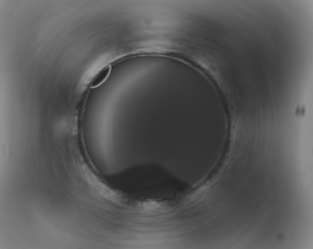 X0000111441459200907131254
