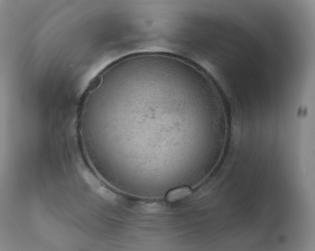X0000111441460200907131254