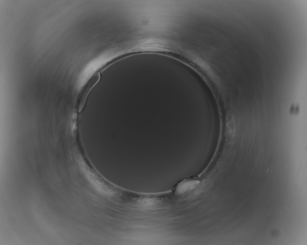 X0000111441461200907131254