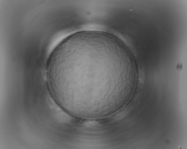 X0000111441462200907131254
