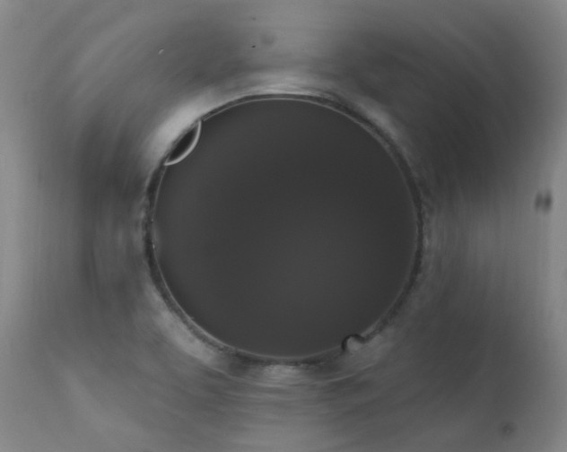 X0000111441463200907131254