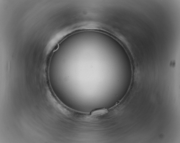 X0000111441464200907131254