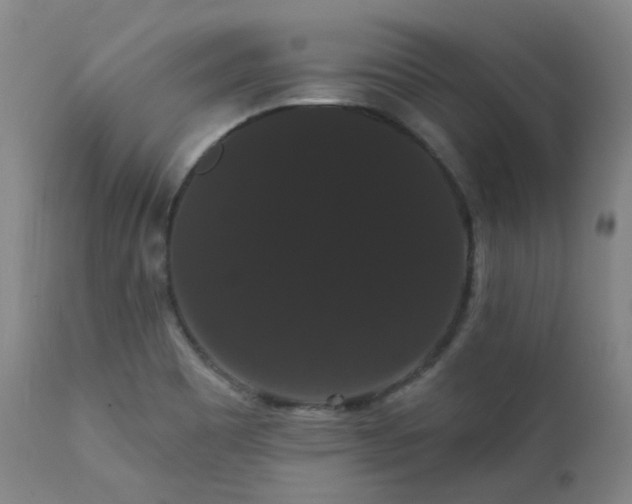 X0000111441465200907131254