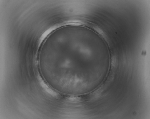 X0000111441466200907131253