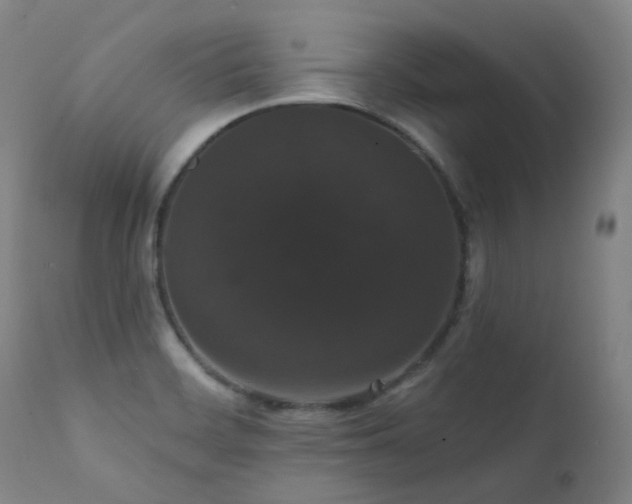 X0000111441468200907131253