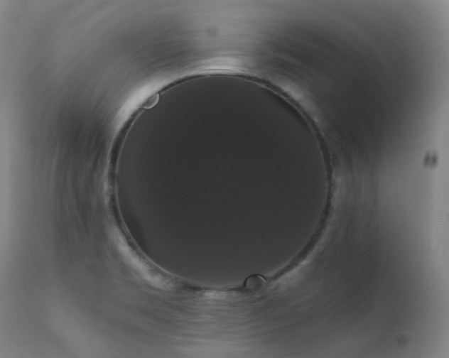 X0000111441469200907131253