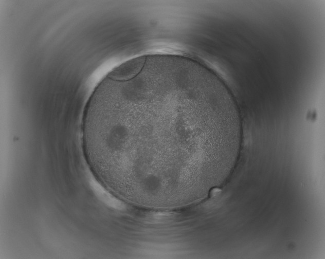 X0000111441471200907131253