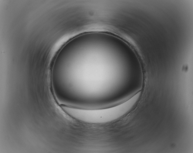 X0000111441472200907131253