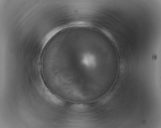 X0000111441474200907131253
