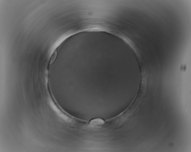X0000111441476200907131253