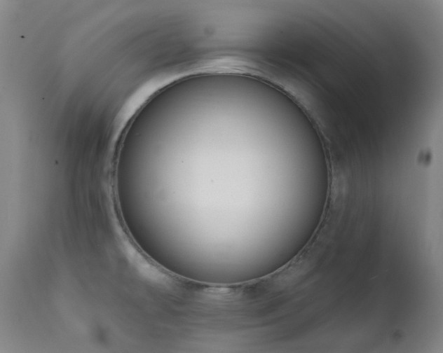 X0000111441478200907131253