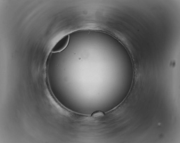 X0000111441479200907131253
