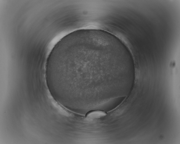 X0000111441480200907131253