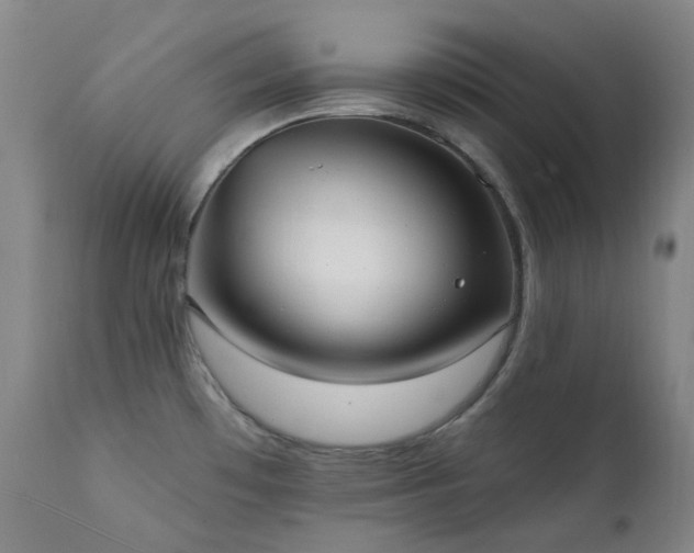 X0000111441481200907131253