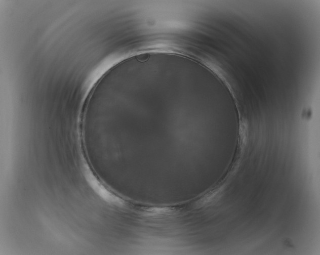 X0000111441482200907131253