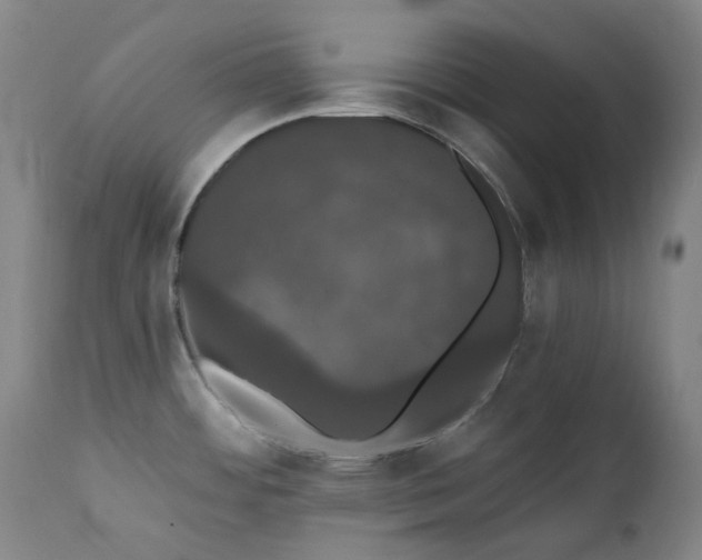 X0000111441484200907131253