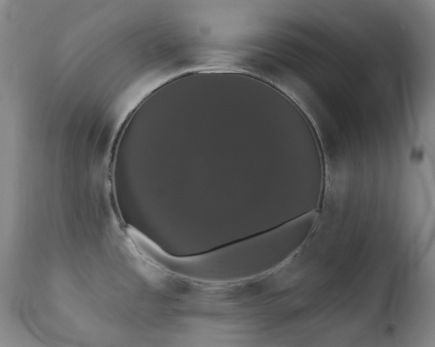 X0000111441485200907131253