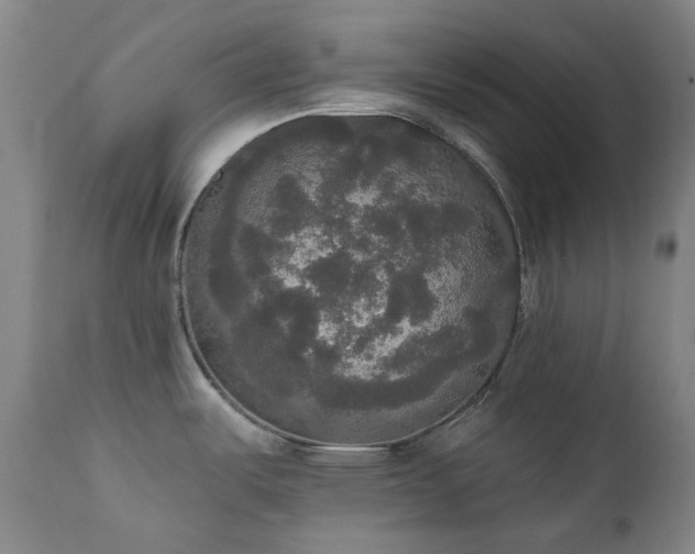 X0000111441487200907131253