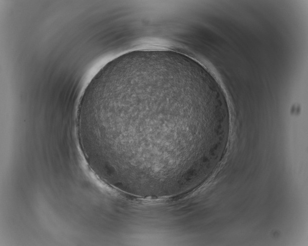 X0000111441488200907131253
