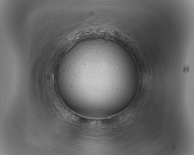 X0000111441489200907131252
