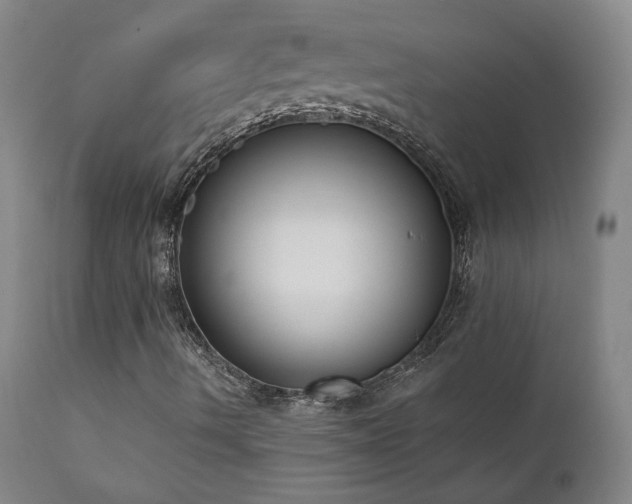 X0000111441490200907131253