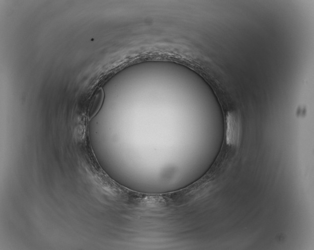X0000111441491200907131253