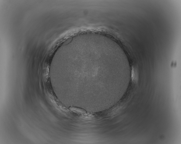 X0000111441492200907131253