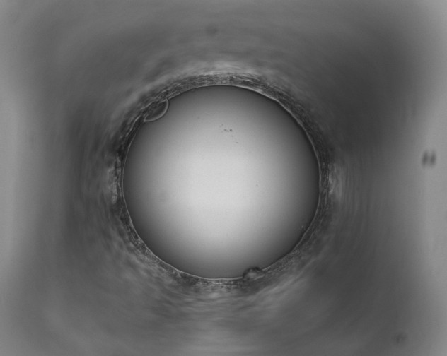 X0000111441493200907131253