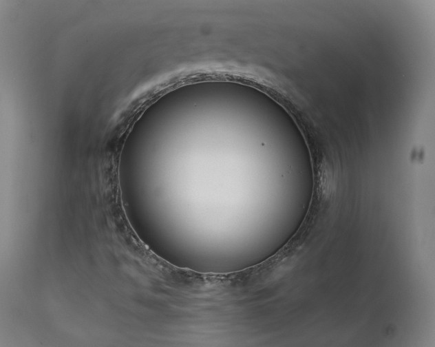X0000111441494200907131253