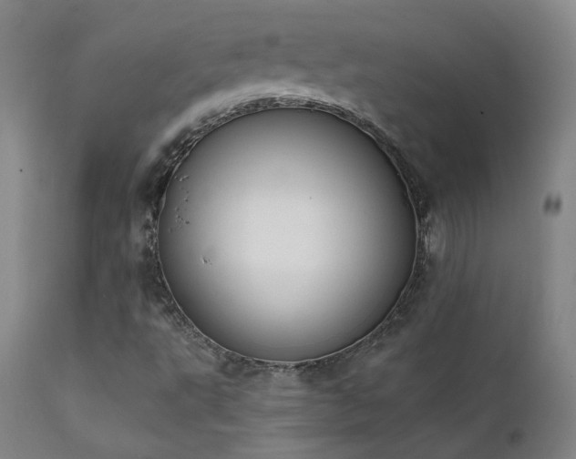X0000111441495200907131253