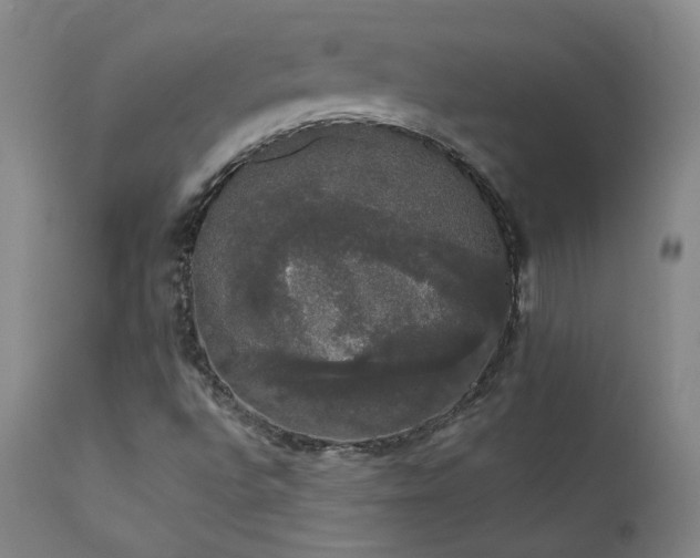 X0000111441496200907131253