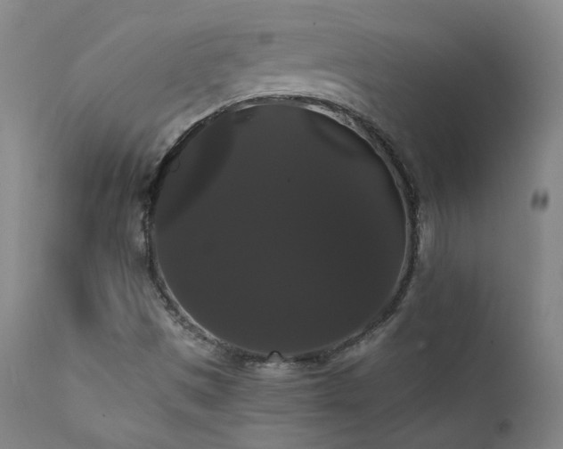 X0000111441497200907131253