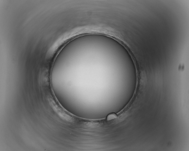 X0000111441499200907131253