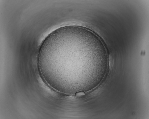 X0000111441500200907131253