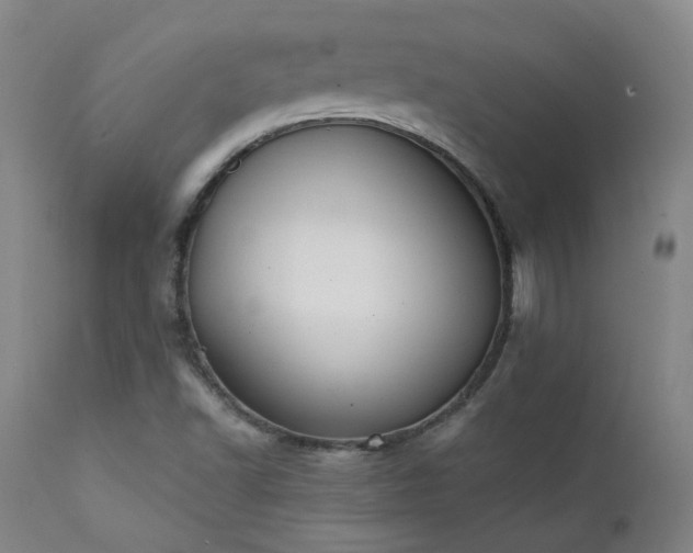 X0000111441502200907131253