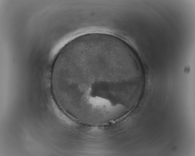 X0000111441504200907131253