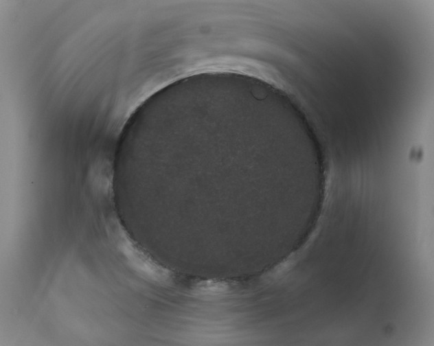 X0000111441505200907131253
