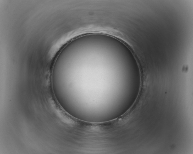 X0000111441507200907131253