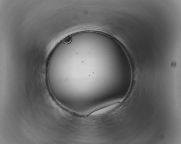 X0000111441508200907131253