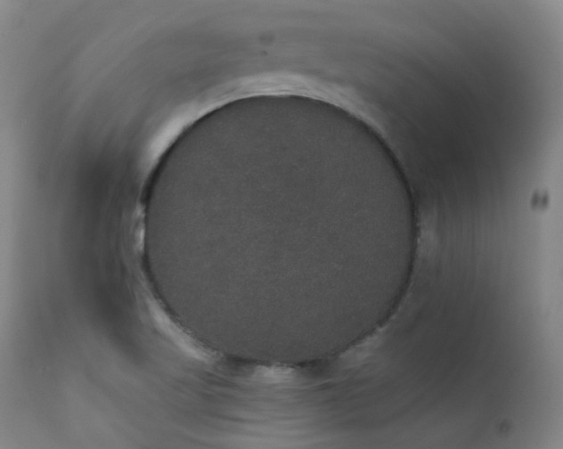 X0000111441509200907131253