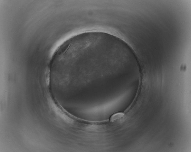 X0000111441510200907131253