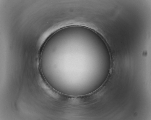 X0000111441511200907131253
