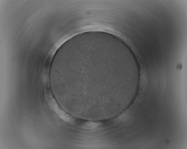 X0000111441513200907131253