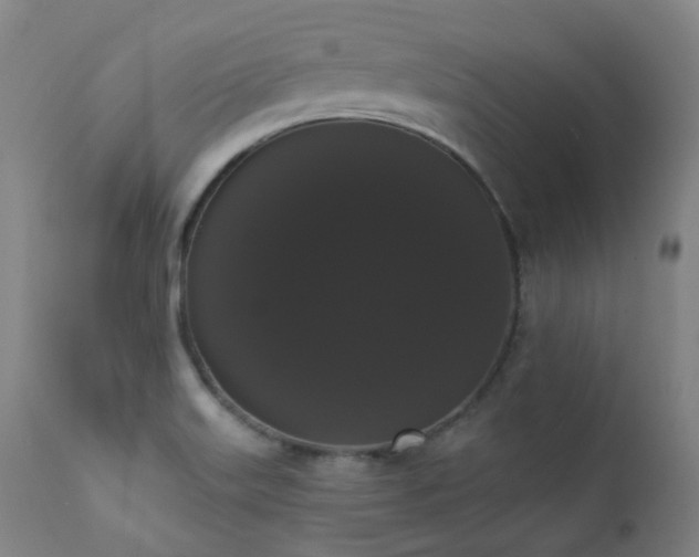 X0000111441515200907131253