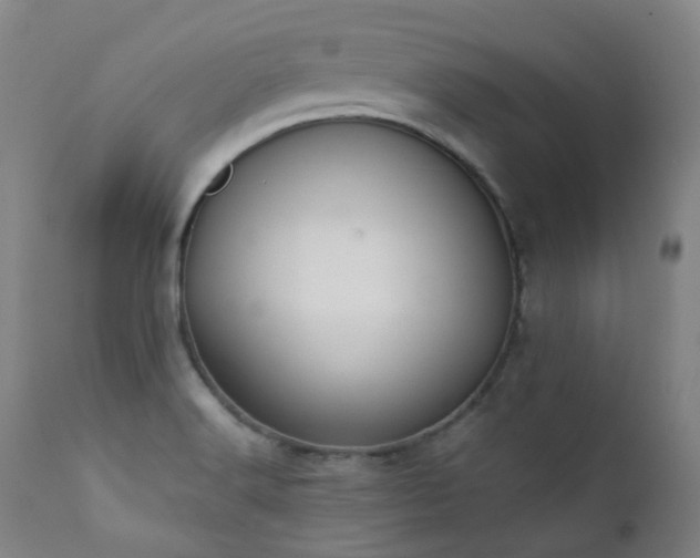 X0000111441516200907131253